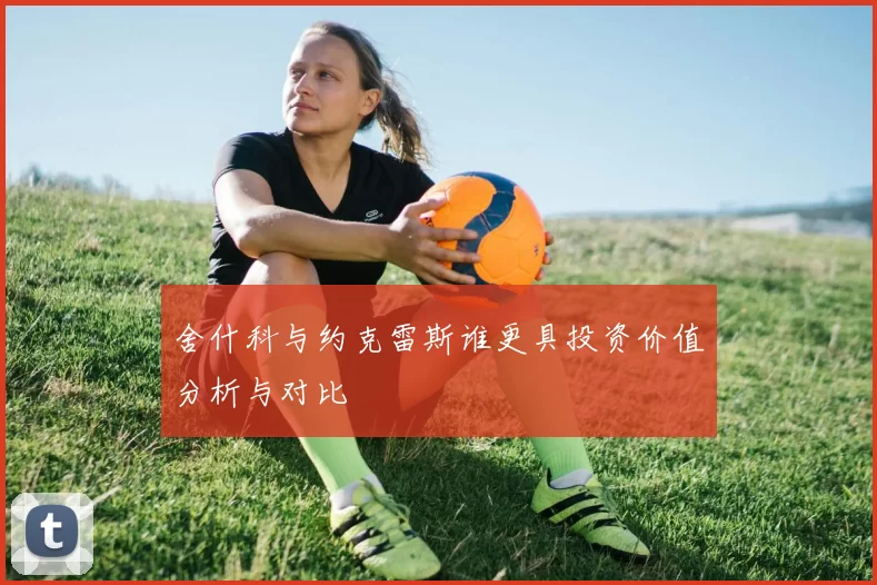 舍什科与约克雷斯谁更具投资价值分析与对比
