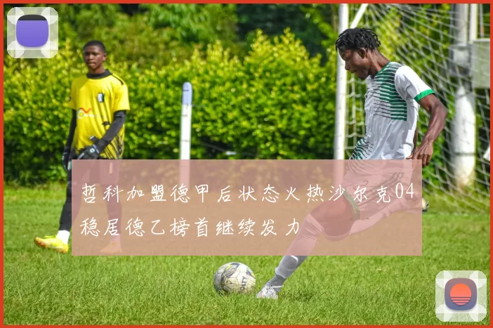 哲科加盟德甲后状态火热沙尔克04稳居德乙榜首继续发力