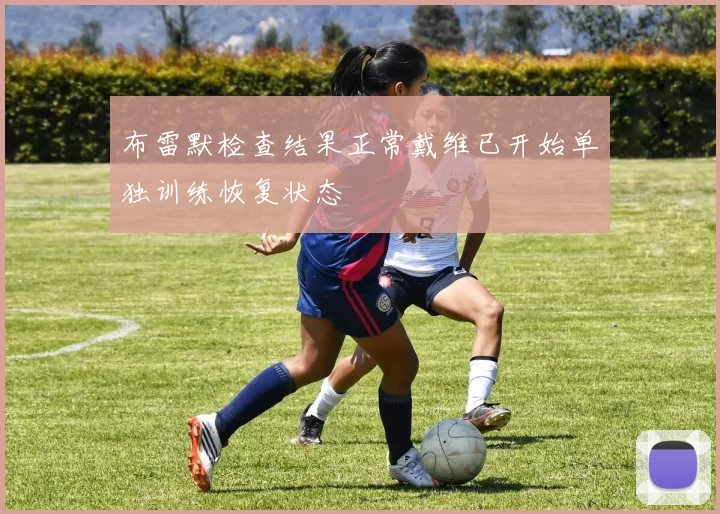 布雷默检查结果正常戴维已开始单独训练恢复状态